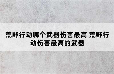 荒野行动哪个武器伤害最高 荒野行动伤害最高的武器